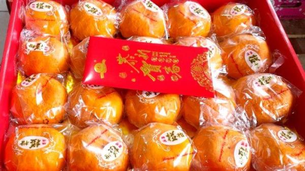Jeruk Mandarin Lukan ertg4h