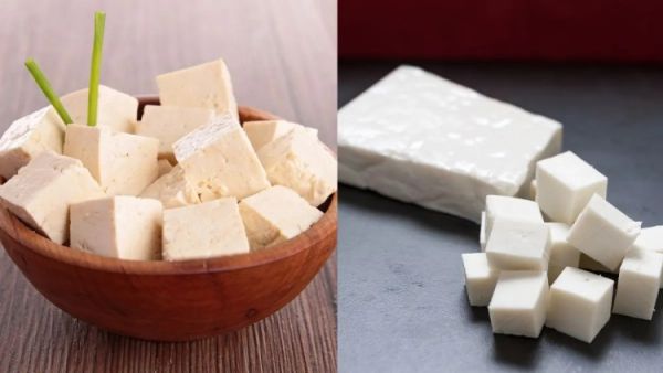 tofu or paneer which is better protein source 1738053438881 1