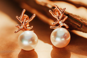 Shiny Earrings