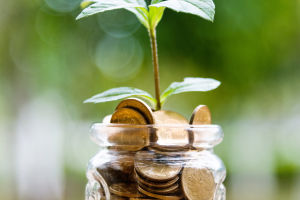 Private vs Public Savings