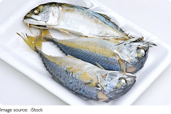 Bacalhau