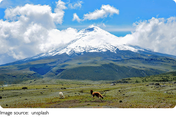 El Cajas: Wild and Untamed