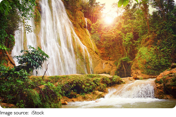 Một ngày giữa rừng Samaná