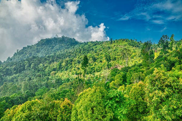 Ilustrasi Sejarah Gunung Putri. Pexels/Tom Fisk