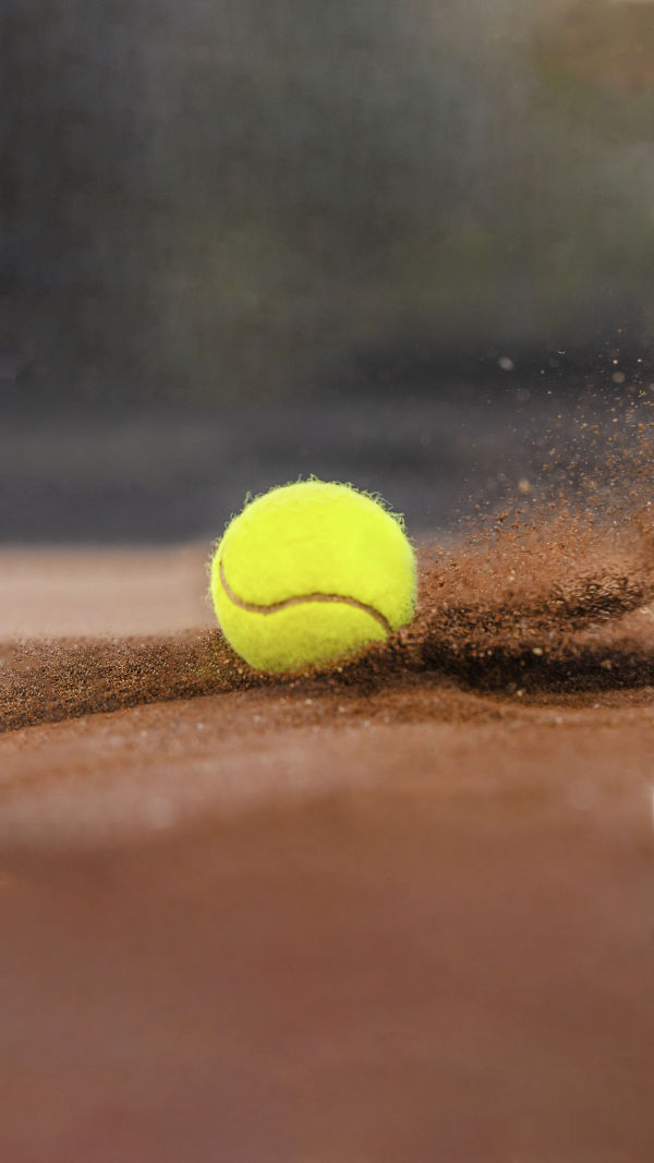 Courts Shape Champions