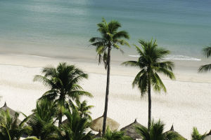 What Lies Beneath the Ocean?