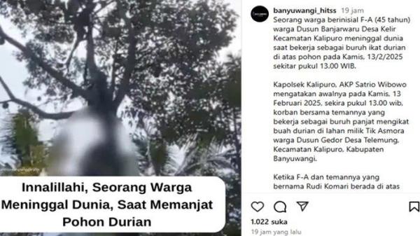 seorang buruh panjat meninggal dunia di atas pohon durian viral di media sosial.