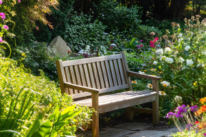 Boost Your Garden This Year!