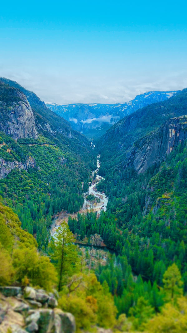 Unlocking Nature's Gates!