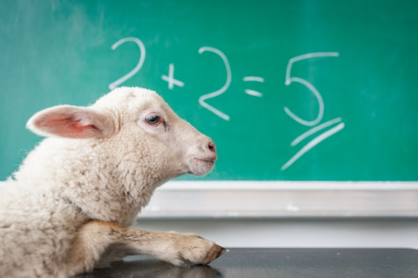 Soal PTS Matematika Kelas 5 Semester 2. Foto adalah ilustrasi. Sumber foto: Unsplash/Elimende