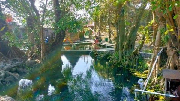 UMBUL MANTEN KLATEN: Kolam alami di Umbul Manten, Kabupaten Klaten, Jawa Tengah yang dikelilingi pepohonan rindang