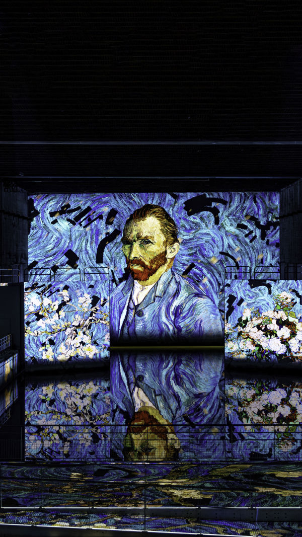 Van Gogh: Brilliance & Pain!