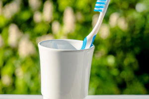 Brush Daily
