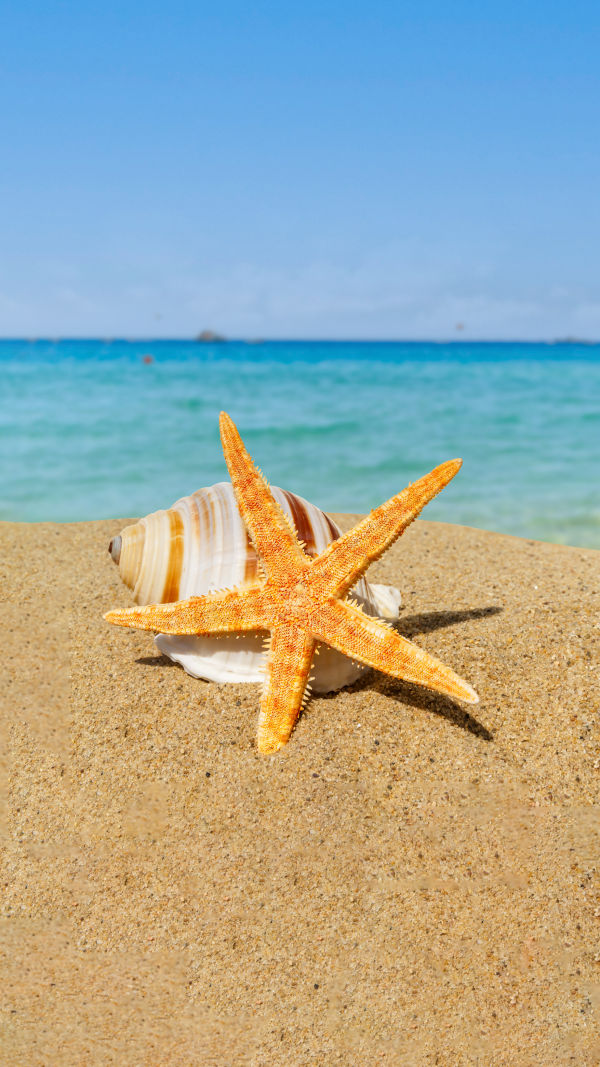 Asia: Top 6 Beaches!