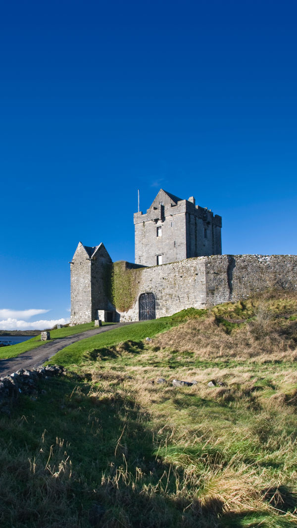 Dunguaire Castle, Ireland