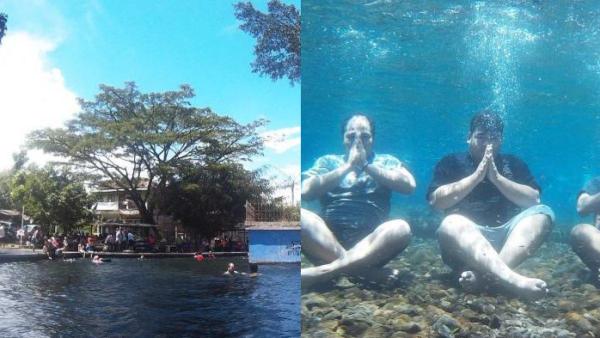 UMBUL NILO, KLATEN -