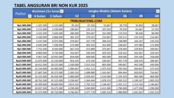 tabel angsuran BRI Non KUR 2025 1-50 Juta