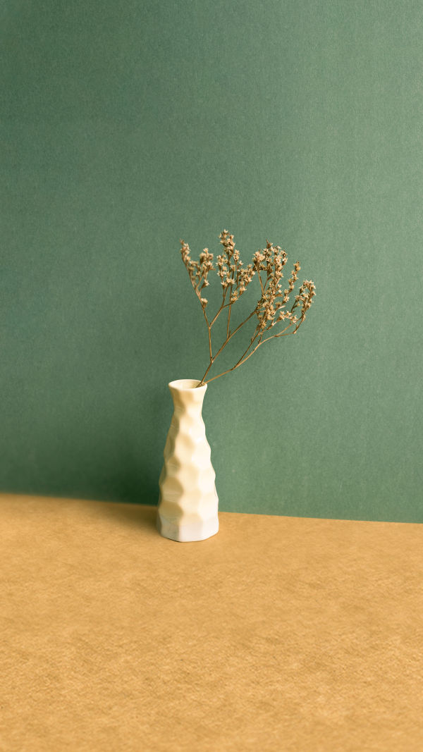 Dried Flowers That Wow!
