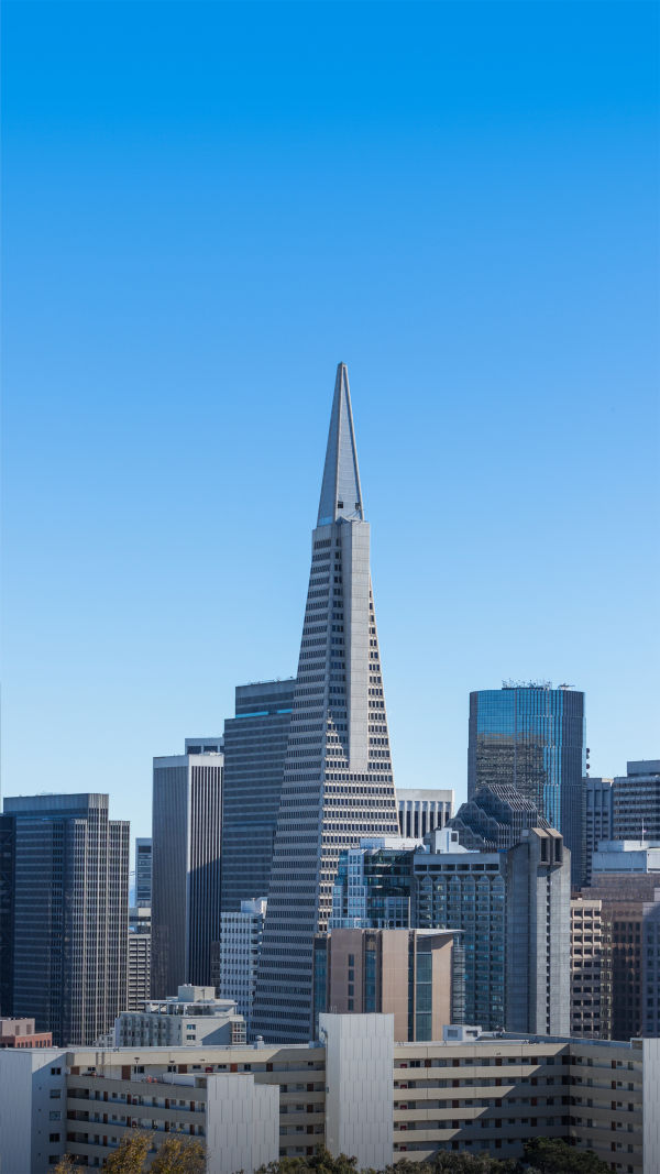 SF Must-Do’s