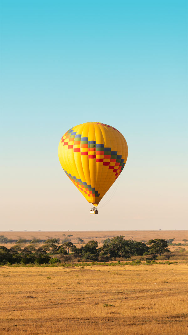 Balloon Safari Magic