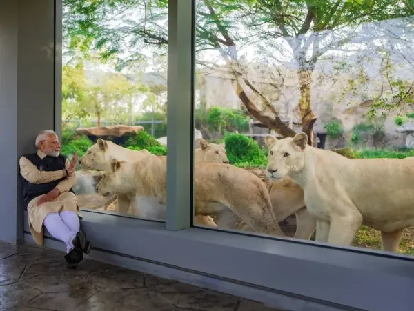 PM Narendra Modi resmikan kebun binatang keluarga Ambani