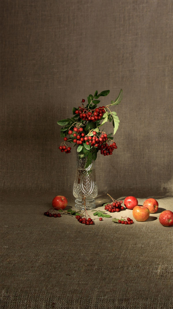 Create Beautiful Fruit Art