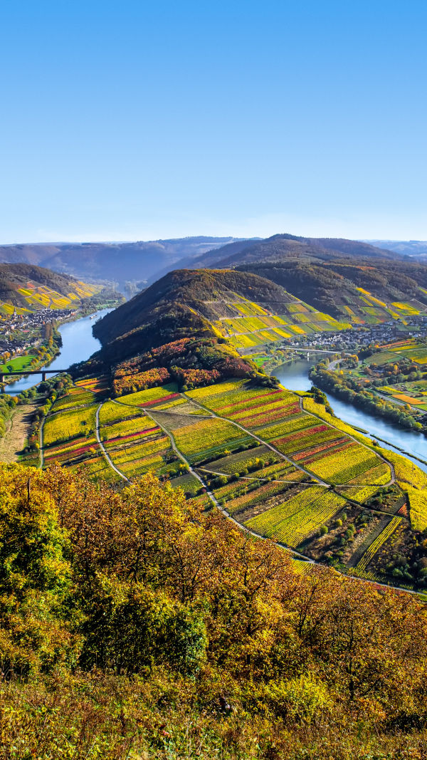 The Stunning Moselle!