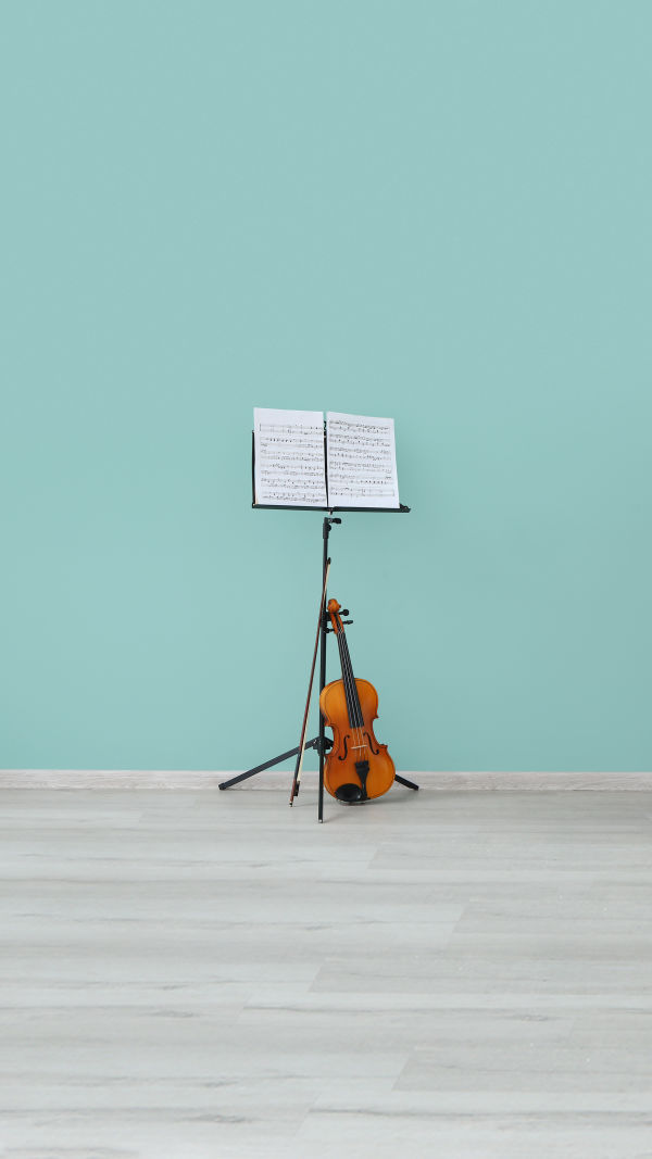 Master Violin in Weeks!