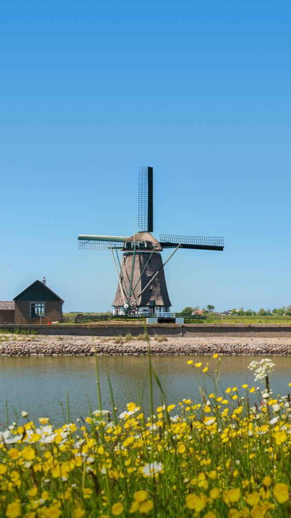 Exploring the Windmills