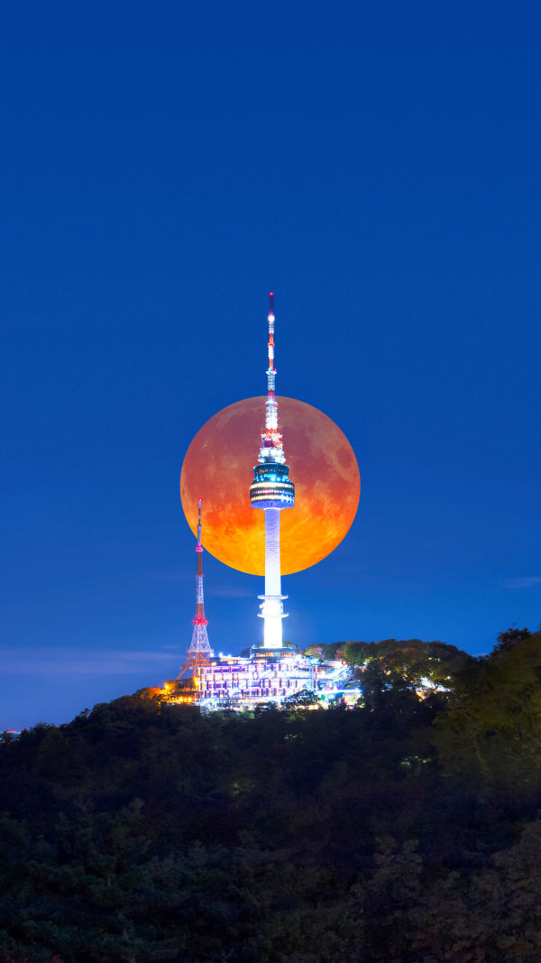 Moonlit Seoul Magic