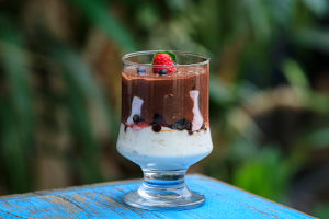 Vegan Chocolate Shake