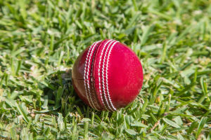 Cricket: Global Sport