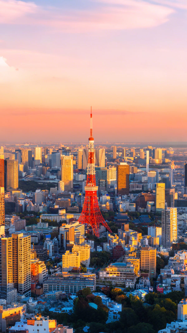 Tokyo Travel Tips!