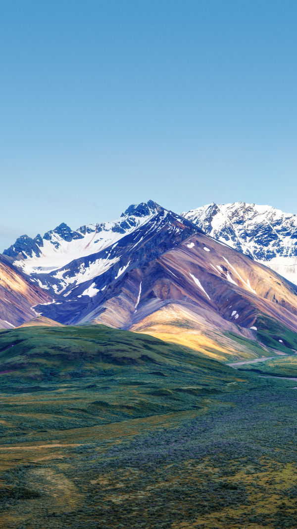 Explore Denali Wild Beauty!