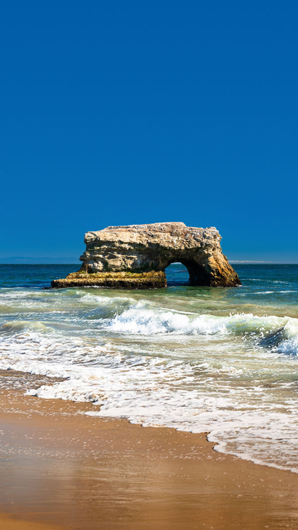 Discover Santa Cruz