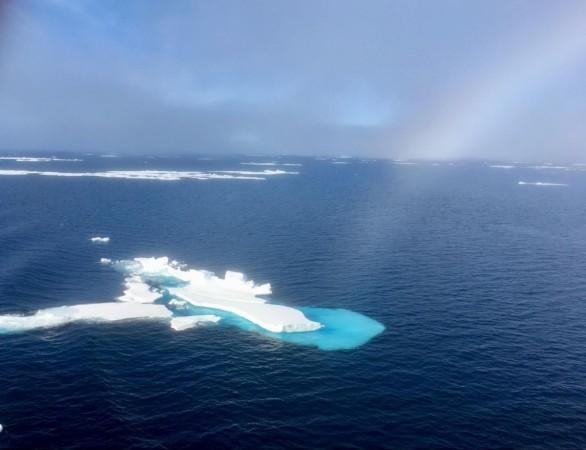 Arctic ice