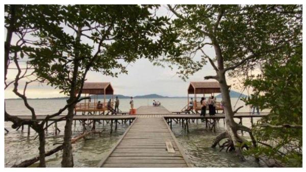KEINDAHAN  WISATA MANGROVE KRESIK PUTIH - Wisata Mangrove Kersik Putih di Batulicin menawarkan pemandangan asri dan menawan, cocok untuk bersantai dan menikmati keindahan alam dengan harga terjangkau.