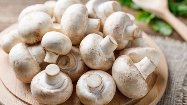 ways to store mushroom to increase its shelf life 1741602154292