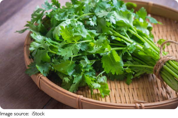 Coriander Made Simple