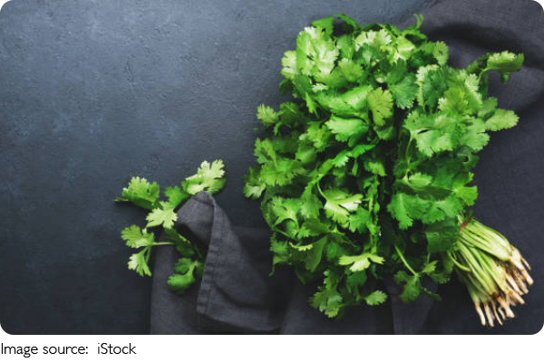 Coriander Made Simple