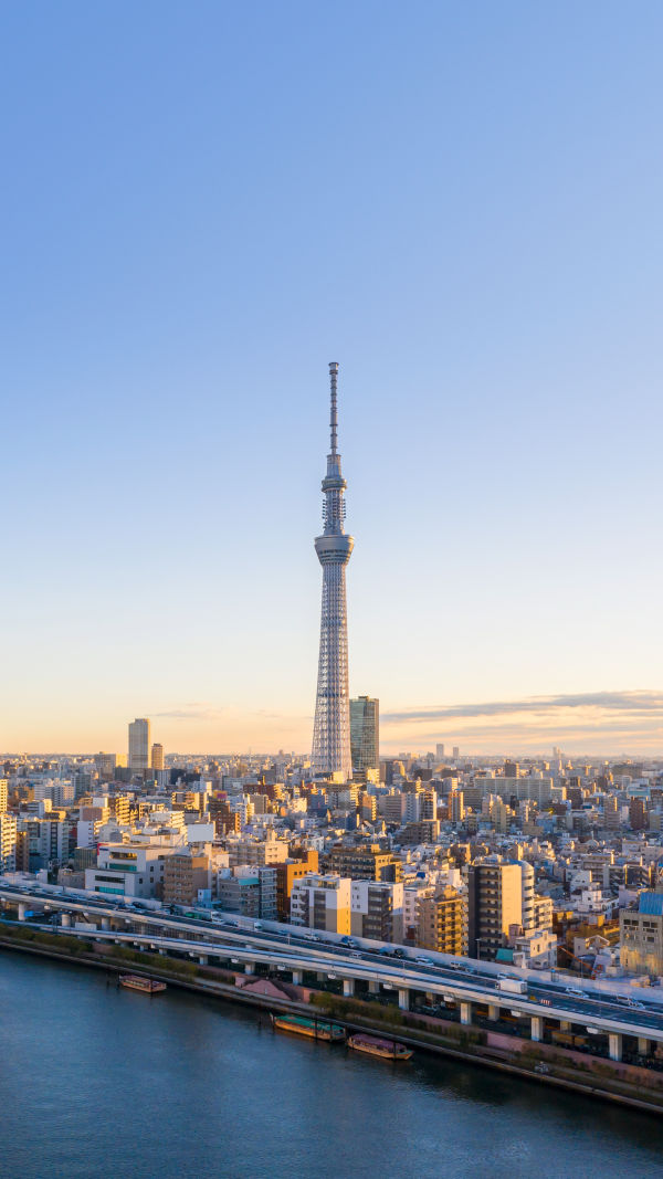 Tokyo's Cityscape