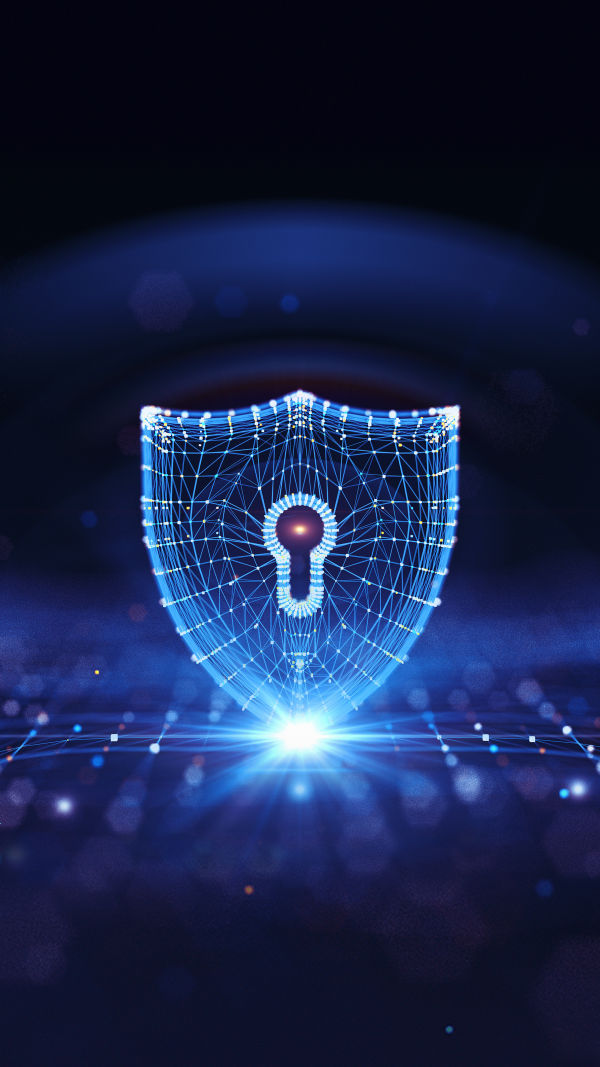 Secure Networks