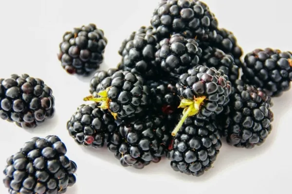 Blackberries on a table. Illustration photo by Pexels