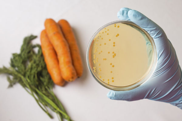  Ilustraai makan sayur.  Foto: Shutterstock