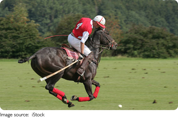 Polo Game Rules