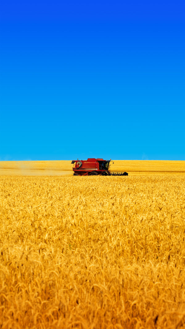 Transforming Agriculture