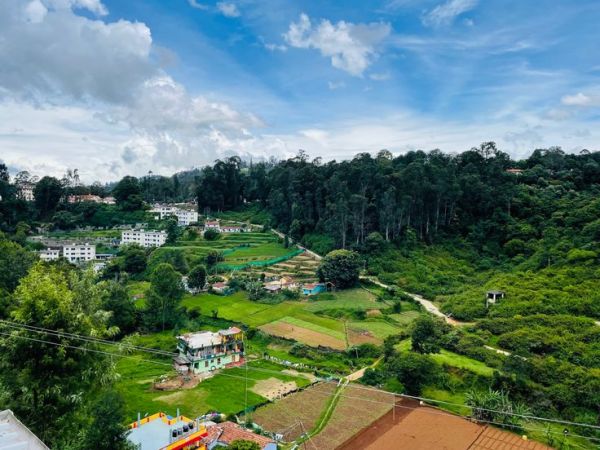 Tea Gardens and Viewpoints in Coonoor
