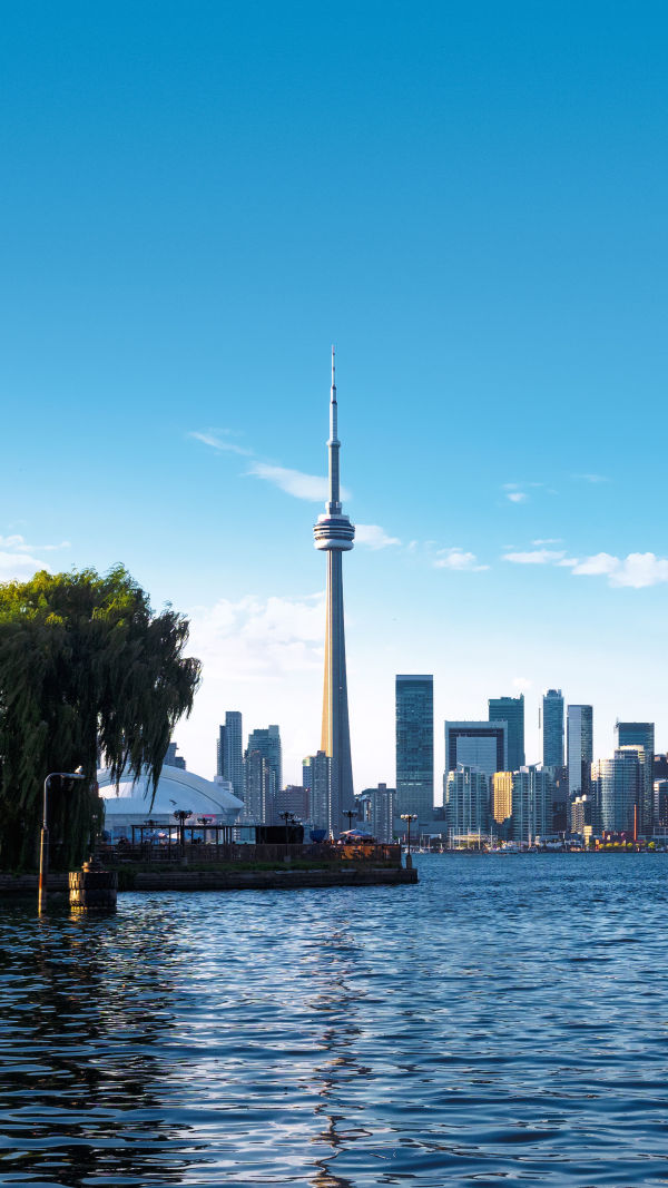 Toronto Unveiled