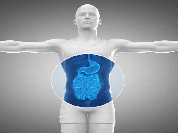 6. Promotes digestion