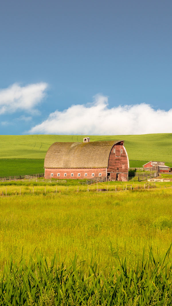 The Palouse Magic